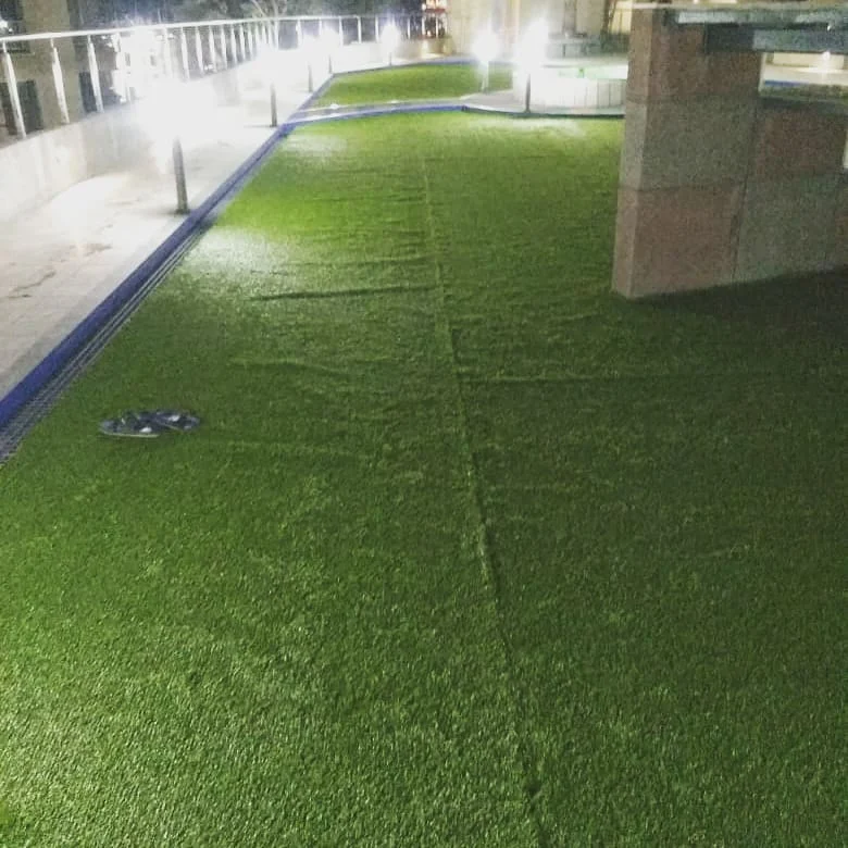 Cricket Project